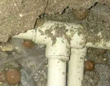 苍梧测漏水多少钱