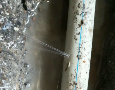 苍梧测漏水哪家好