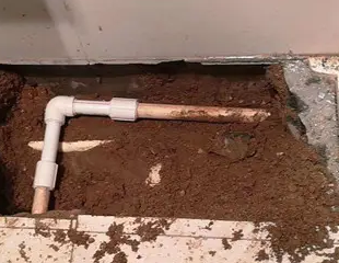 苍梧测漏水哪家好