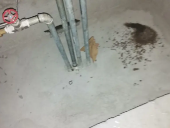 苍梧卫生间测漏水价格明细