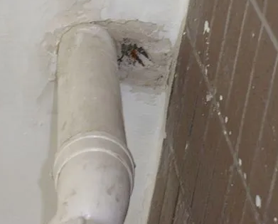 苍梧漏水检测哪家好